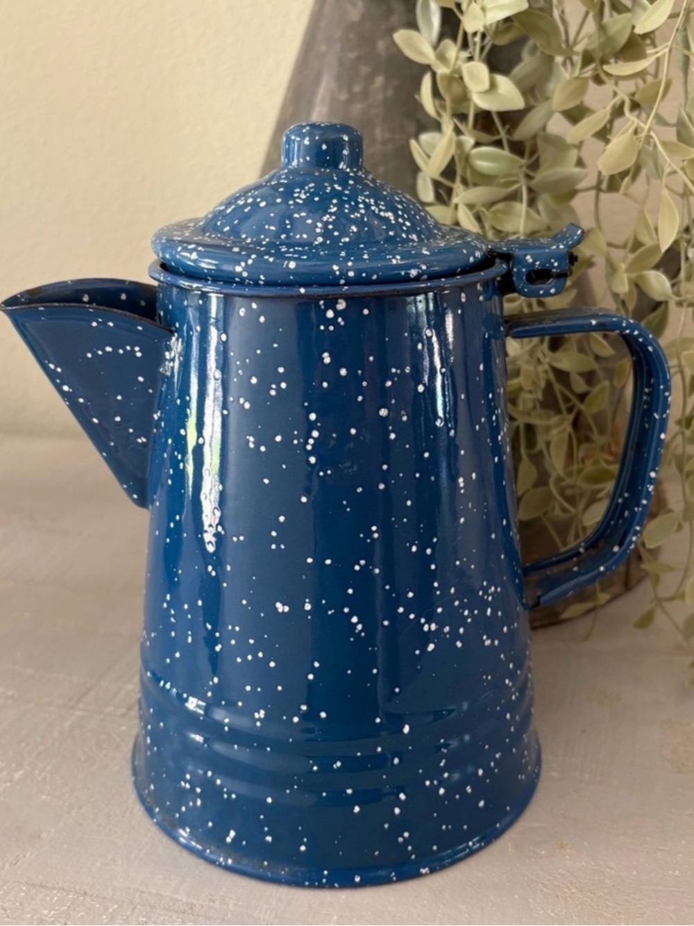 Vintage Paula Deen Speckled Enamelware Coffee Pots Farmhouse Cottagecore Decor - Picture 3 of 10